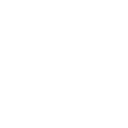 Django Python Developer